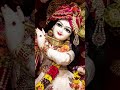 radhe radhe 🪈#bhaktistatus #murlidhar