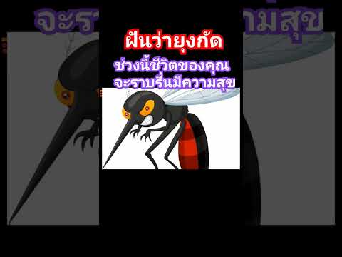 ผลสลากกินแบ่งรัฐบาล วันที่ 1 พย. 2567 ผลสลากกินแบ่งรัฐบาล วันที่ 1 พย. 2567