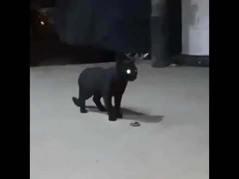 ليش واقفين مع رتاج لكذابة تراها منافقة هي اكسوال 