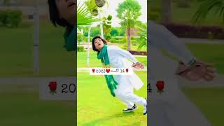 Dil Ki Himmat Watan Apna Jajba Vatan Happy Independence Day