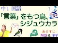 【大発見】「言葉」をもつ鳥、シジュウカラ【中１国語】教科書あらすじ&解説〈鈴木俊貴　著〉