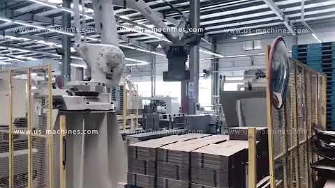 Automatic paper cardboard carton box robot hand palletizing machine palletizer equipment