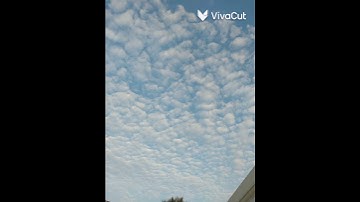 مشاري العفاسي _ سورة الحج الآية ١٨