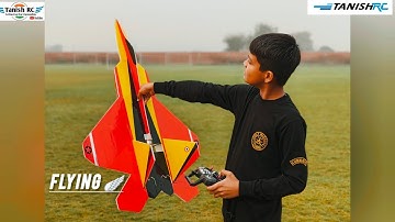 Flying F22 Raptor || Rc Plane ||  Fighter Jet || Diy || Tanish Rc