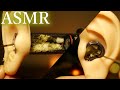 【ASMR耳かき】４K高画質で見てて気持ち良い耳かきの断面😍The best real earpick with 4K high image quality✨4K 고화질로 최고의 리얼 귀걸이