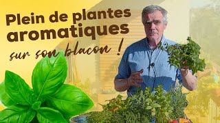 Comment cultiver des plantes aromatiques sur un balcon ? Conseils plantation, exposition, exigences