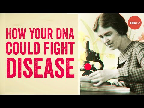 וִידֵאוֹ: למה משמש שיבוט DNA?