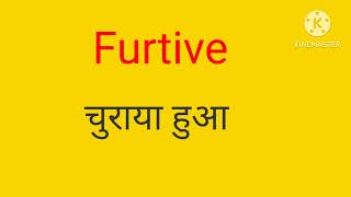 Furtive Meaning In Hindi Furtive क हद म मतलब