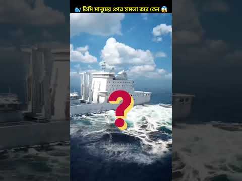 ভিডিও: স্তন্যপায়ী প্রাণীদের চুল থাকে কেন?