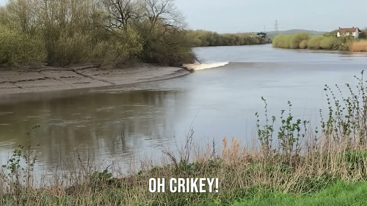 AIGER TIDAL WAVE - River Trent tidal bore.  AMAZING viewing.