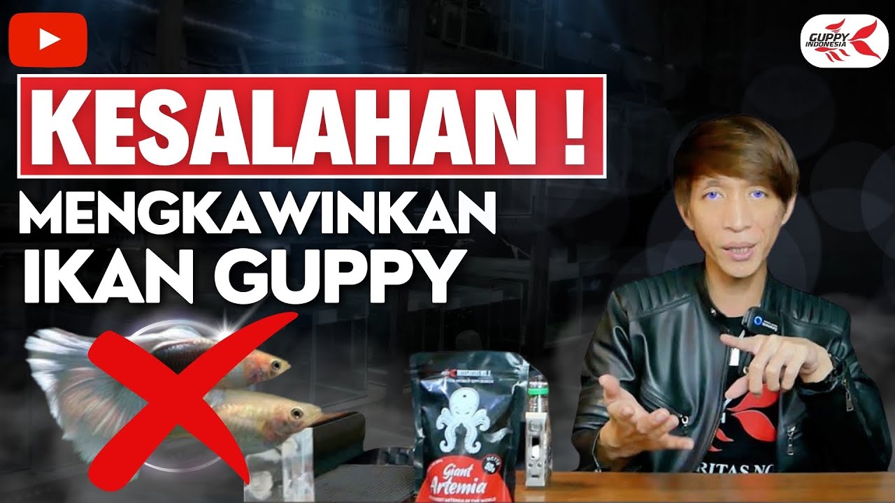 BAHAS TUNTAS TENTANG PERKAWINAN IKAN GUPPY SAMPAI BERANAK