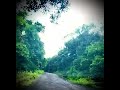 Scenic Western Ghats!! Long Drive Shorts || #Nature at its finest!!