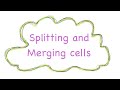 Split (Horizontal/Vertical) &amp; Merge Cells in OpenOffice Writer | Class 5 | @TechTuitionsByRohit