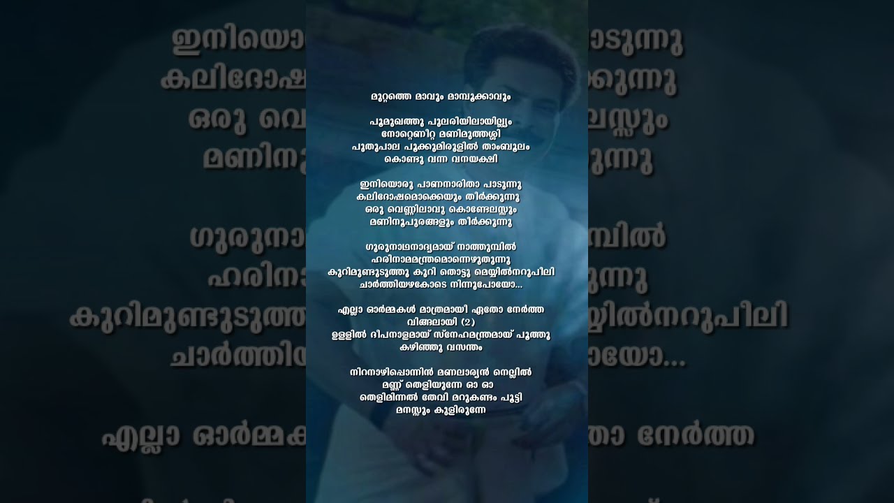 Niranazhi Lyrics Viral Shorts