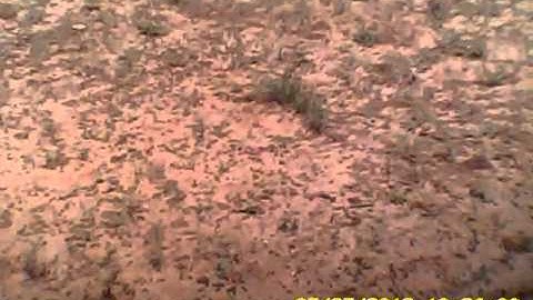 2nd try Twin boom scratchbuild FLEX