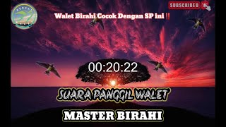 Full Birahi Dengan Sp Ini‼️Suara Panggil Walet‼️Master Birahi ‼️@BerkatWaletOfficial