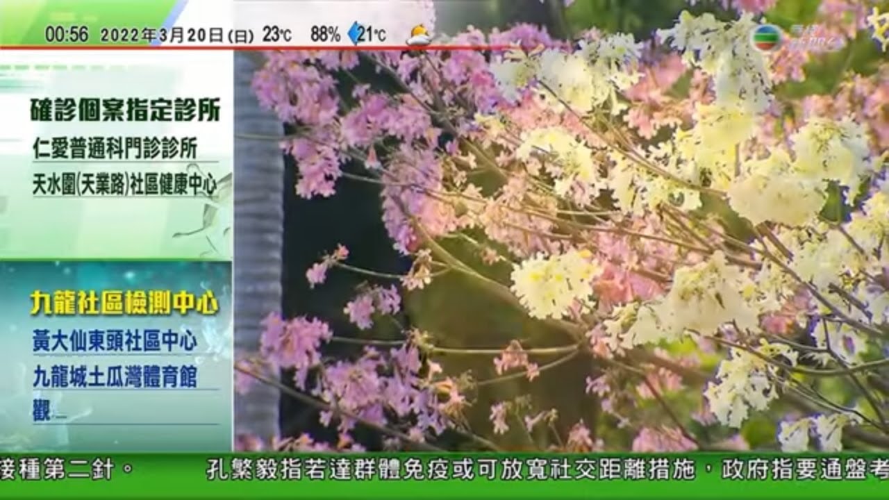 無綫00 30 新聞報道tvb News 22年3月日 內地增逾3800宗本地個案 上海全市中小學疫情下改上網課有酒店把握商機推網課託管套餐 俄羅斯烏克蘭局勢無礙國際太空站運作 無綫00 30 新聞報道tvb News 22年3月日 內地增逾3800宗本地個案 上海全市中小學疫情下改上網課有酒店把握商機推網課託管套餐 俄羅斯烏克蘭局勢無礙國際太空站運作