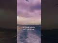 يارب عدت الى رحابك تائبا مستسلما مستمسك بعراك يارب عدت الى رحابك تائبا مستسلما مستمسك بعراك