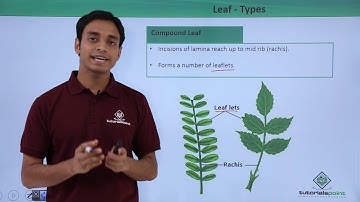 Class 11th – Leaf – Types | Morphology of Flowering Plants | Tutorials Point