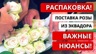 💥 РАСПАКОВКА ПОСТАВКИ РОЗЫ ИЗ ЭКВАДОРА! Что нужно учитывать и делать, когда принимаем поставку?