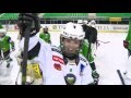 Firbcologi: hokej na ledu