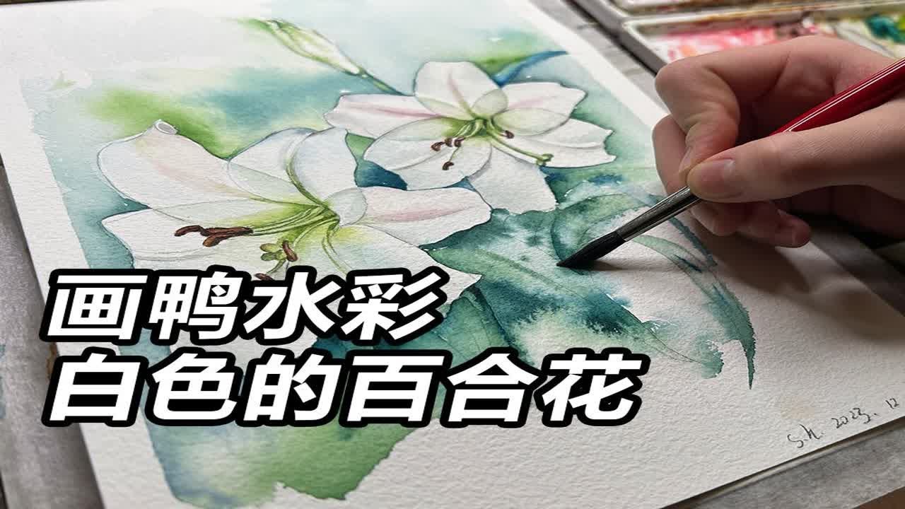 水彩日常练习】水彩笔下绽放的两朵百合花- YouTube
