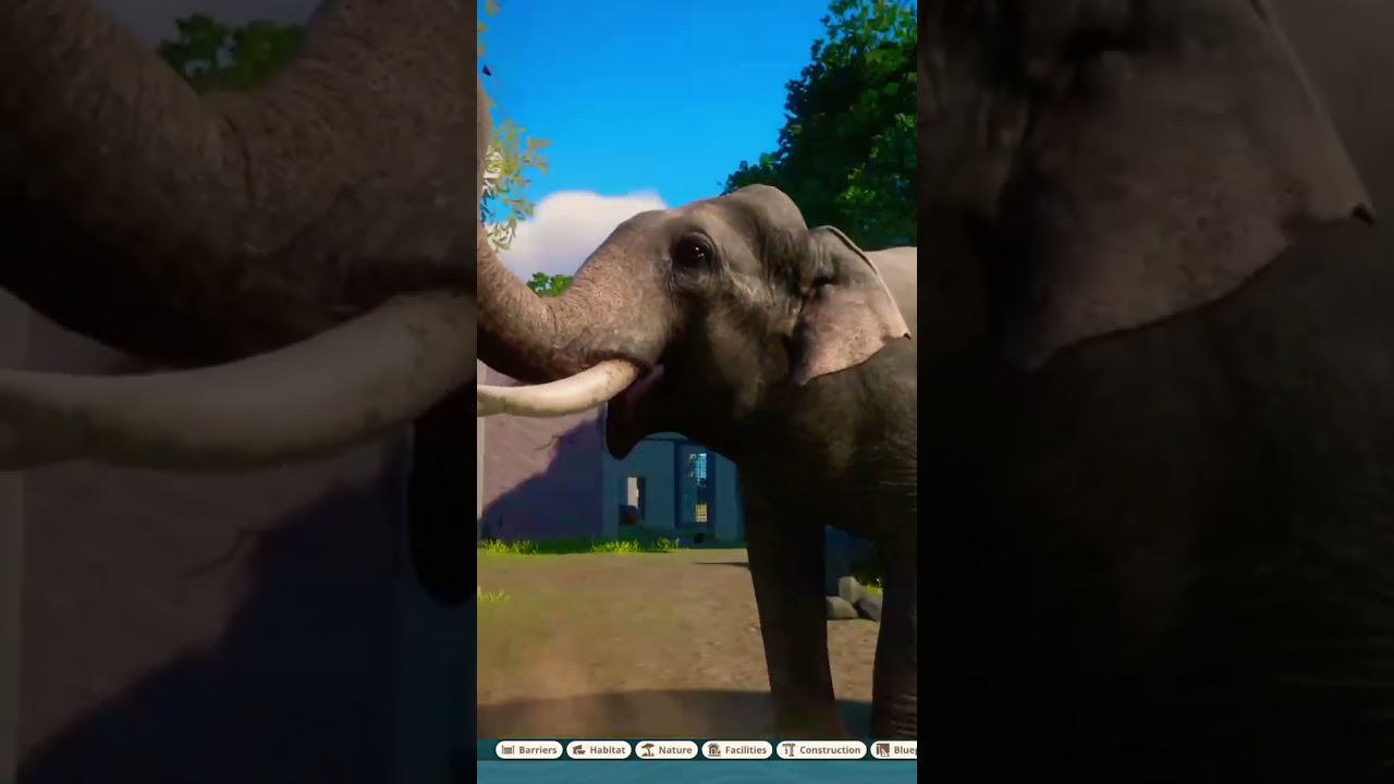 Planet Zoo Indian Elephant throwing dirt
