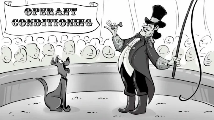 Skinner's Operant Conditioning: Rewards & Punishments