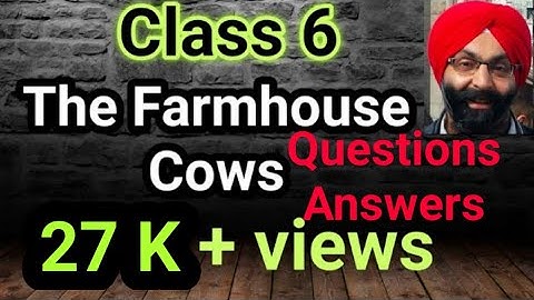 6th Class, (The Farmhouse Cows) Questions Answers and Important Exercise Part