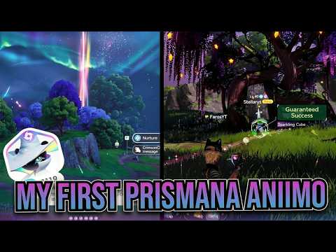 I SPENT 3+ HOURS TRYING TO GET A PRISMANA IN ANIIMO AND THIS HAPPENED...
