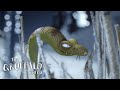 The Gruffalo's Child Comes Face to Face with a Snake! @GruffaloWorld: The Gruffalo's Child