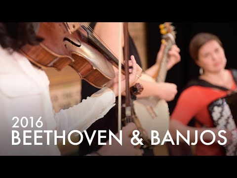 Beethoven & Banjos 2016 - The Lonely Sparrow