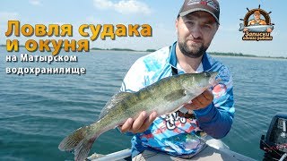 Ловля судака и окуня на матырском водохранилище