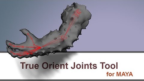 True Orient Joint tool for MAYA