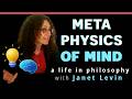 Metaphysics of Minds: Janet Levin and a career in philosophy (uncut)