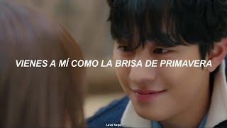 NEW (THE BOYZ) - Spring Breeze [A Business Proposal OST Part 9] MV (Traducida al español)