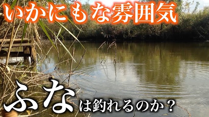 Micro Fishing for Tanago (Bitterling) in Japan