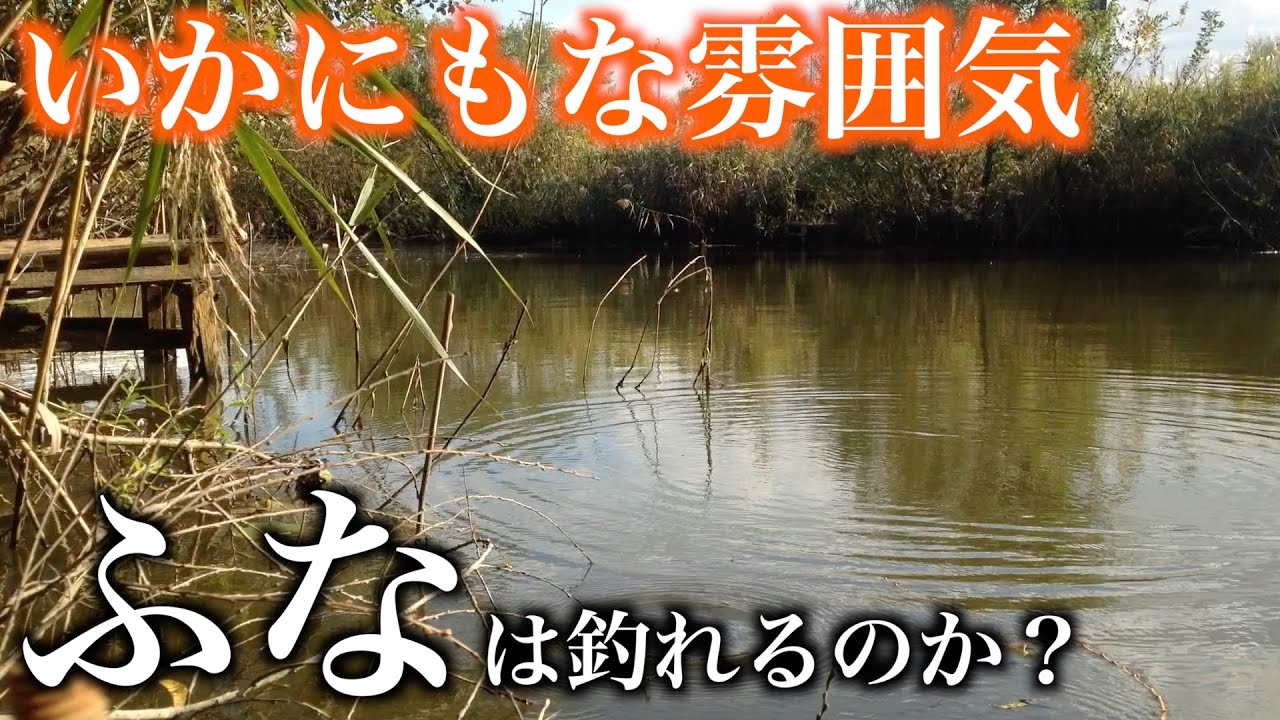 フナ釣り いかにも釣れそうな池 小物釣り Micro Fishing Youtube