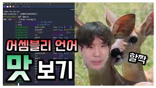어셈블리 언어 찍먹 영상 | PUSH/POP 명령어 | 컴퓨터가 일하는 모습을 직접 보다! screenshot 3