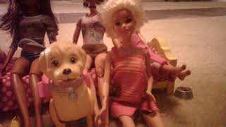 What Would You Do Cast And Crew