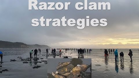 How to dig Razor Clams in tough conditions