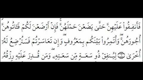 سورة الطلاق من مسجد الزعرورية رمضان 1433.wmv
