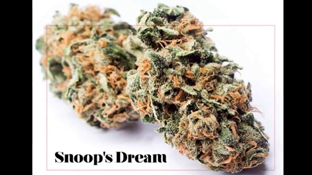 Snoops Dream by DJ Strains