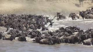 Big Mara River crossing at crossing point 1