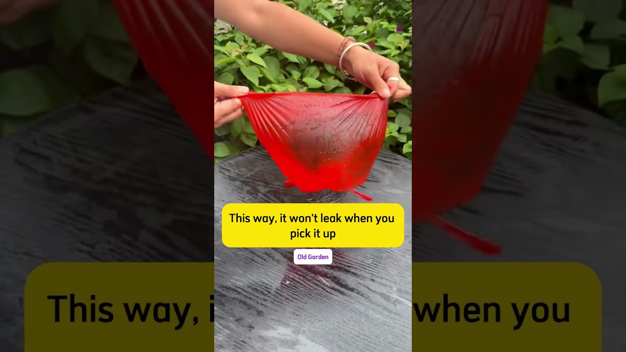 One trick solves travel problems 