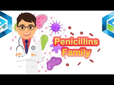 Pharmacology lecture | Penicillin / Cell Wall inhibitor antibiotics