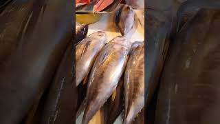 Different ways to tuna fish cutting