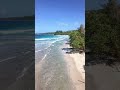Drone flight along shoreline with waves at Red Frog Beach Panama #documentary #4kdocumentary #travel