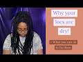 DRY LOCS?! Watch this!!! | Why your locs are dry and what to do