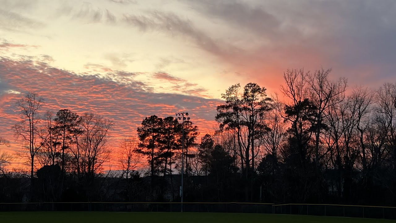 Day 2065 Tesla Ruby Dueling or Dual Charging?
